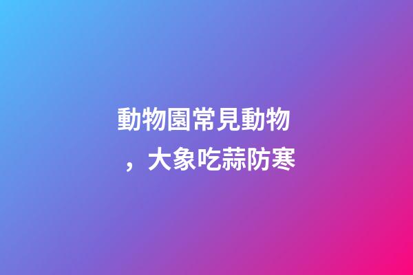 動物園常見動物，大象吃蒜防寒